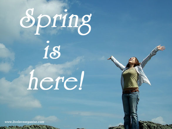5 things to do in Spring